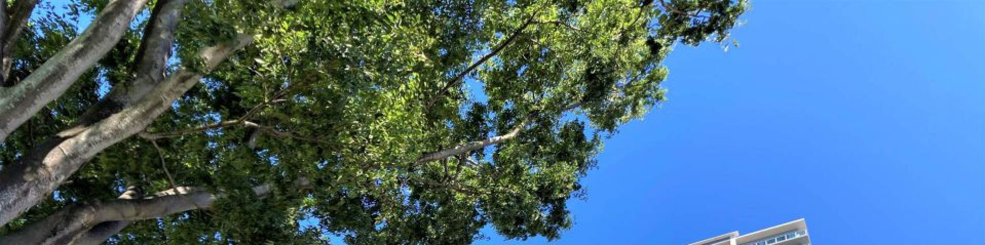 大阪のレンタルオフィスで見つける理想の働き方とその魅力とは